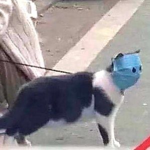 Meet your Posher, Ogl